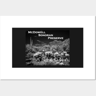 McDowell Sonoran Preserve, Scotsdale Arizona Posters and Art